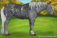 Horse Color:White Spotted Silver Black Chinchilla Rabicano