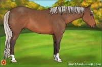 Horse Color:Silver Brown 