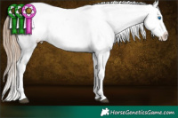 Horse Color:White Spotted Liver Chestnut Pearl Sabino Splash Appaloosa 