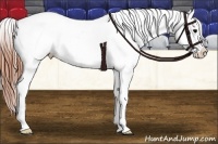 Horse Color:Grullo Splash Tobiano Blanket 