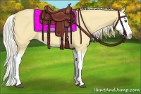 Horse Color:Palomino Dun Splash
