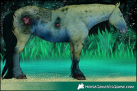 Horse Color:ERROR: UNKNOWN ANOMALY