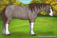 Horse Color:Liver Red Roan Splash