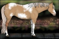 Horse Color:Silver Bay Dun Sabino Tobiano Frame Rabicano 