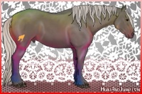 Horse Color:Silver Black 