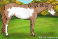 Horse Color:Red Roan Frame 