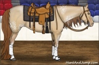 Horse Color:White Spotted Bay Pearl Dun