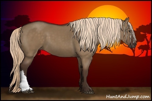 Horse Color:Liver Red Dun 