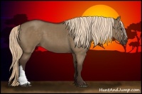 Horse Color:Liver Red Dun 