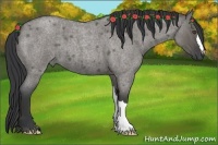 Horse Color:Grullo Roan 