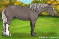 Horse Color:Silver Black 