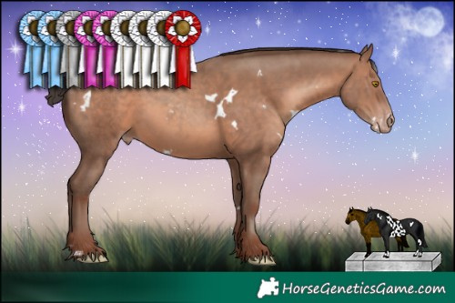 Horse Color:White Spotted Sable Champagne 