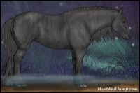Horse Color:Black Brindle