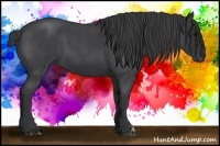 Horse Color:Blue Roan