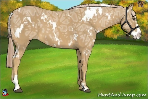 Horse Color:White Spotted Palomino Ice Splash Frame 