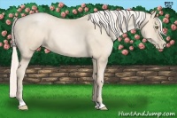 Horse Color:Gold Cream Champagne Pearl 