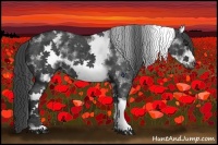 Horse Color:White Spotted Black Sabino Frame 