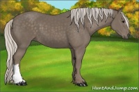 Horse Color:Silver Smoky Black 