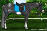 Horse Color:White Spotted Black Sabino Frame