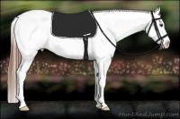 Horse Color:Chestnut Splash Appaloosa 