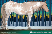 Horse Color:White Spotted Liver Chestnut Pearl Appaloosa