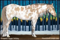 Horse Color:White Spotted Liver Chestnut Pearl Appaloosa