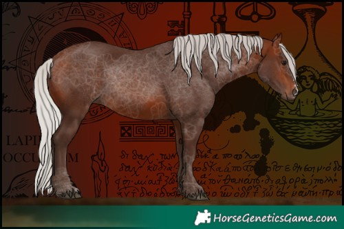 Horse Color:Silver Brown Sabino