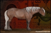 Horse Color:Silver Bay Sabino