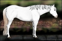 Horse Color:White Spotted Smoky Grullo Varnish 