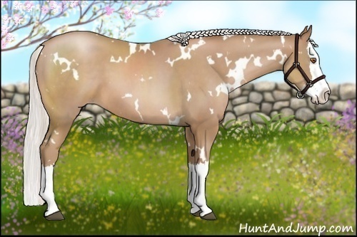 Horse Color:White Spotted Silver Black Pearl Sabino Splash