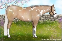 Horse Color:White Spotted Silver Black Pearl Sabino Splash