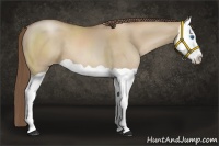 Horse Color:Grullo Pearl Splash