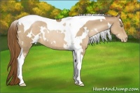 Horse Color:White Spotted Liver Chestnut Pearl Tobiano Rabicano