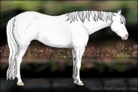 Horse Color:Silver Perlino Dun Sabino Appaloosa