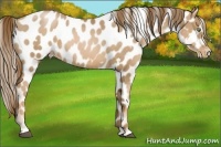 Horse Color:White Spotted Liver Chestnut Pearl Blanket