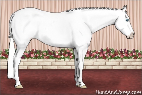 Horse Color:White Spotted Silver Perlino Appaloosa 