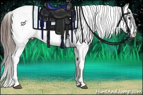 Horse Color:Liver Chestnut Varnish Rabicano