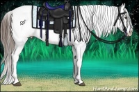 Horse Color:Liver Chestnut Appaloosa Rabicano 