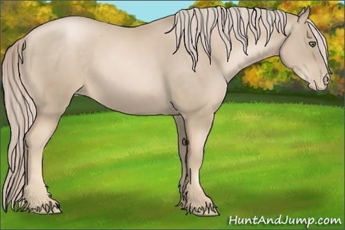 Horse Color:Chocolate Palomino Pearl Frame
