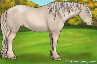 Horse Color:Chocolate Palomino Pearl Frame 