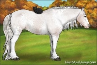 Horse Color:White Spotted Silver Brown Varnish 