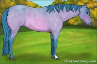 Horse Color:Watercolor Buckskin Roan 