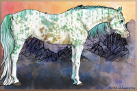 Horse Color:Watercolor Brown Sabino  and Watercolor Brown Sabino 