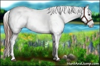 Horse Color:White Spotted Bay Roan Blanket