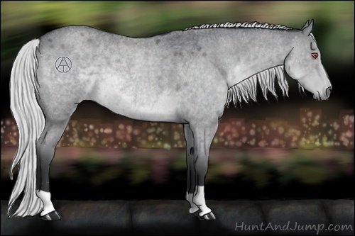 Horse Color:Silver Blue Chinchilla Roan Rabicano 