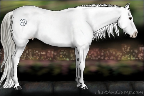 Horse Color:Liver Red Dun Mushroom Snowflake Varnish Rabicano 