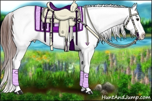 Horse Color:Brown Roan Dun Snowflake Varnish