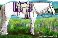 Horse Color:Brown Roan Dun Snowflake Varnish
