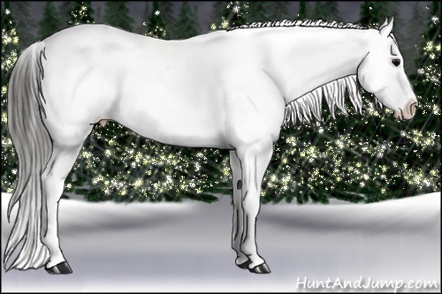 Horse Color:Blue Roan Snowflake Varnish