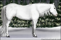 Horse Color:Blue Roan Snowflake Varnish